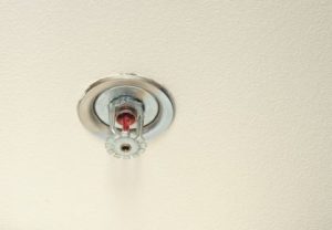 Fire Sprinkler System 