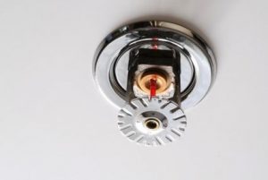 Fire Sprinklers